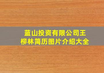 蓝山投资有限公司王柳林简历图片介绍大全