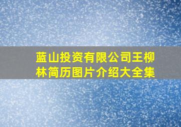 蓝山投资有限公司王柳林简历图片介绍大全集