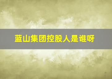 蓝山集团控股人是谁呀