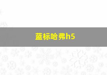 蓝标哈弗h5