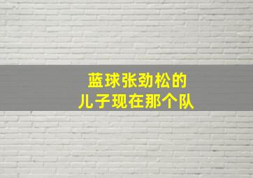 蓝球张劲松的儿子现在那个队