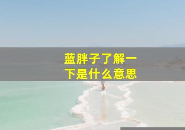 蓝胖子了解一下是什么意思