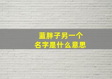 蓝胖子另一个名字是什么意思