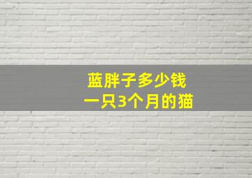 蓝胖子多少钱一只3个月的猫