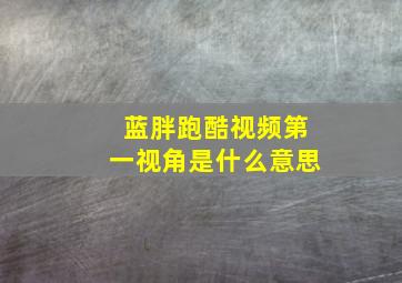 蓝胖跑酷视频第一视角是什么意思