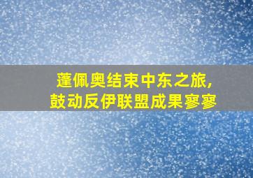 蓬佩奥结束中东之旅,鼓动反伊联盟成果寥寥