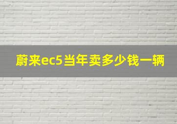 蔚来ec5当年卖多少钱一辆