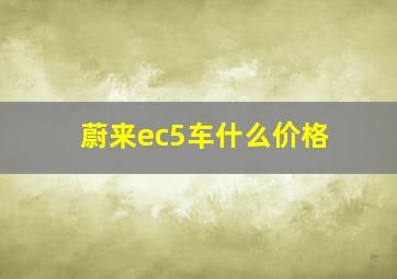 蔚来ec5车什么价格