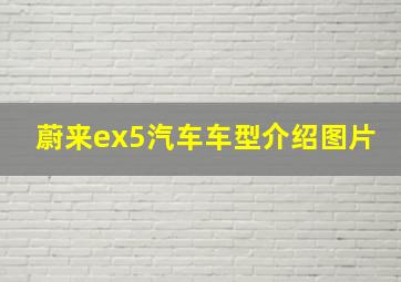 蔚来ex5汽车车型介绍图片