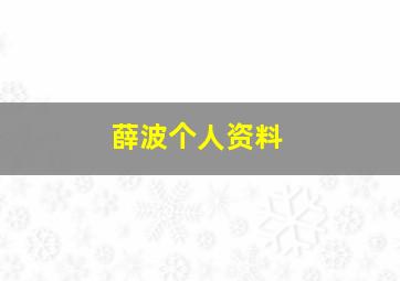 薛波个人资料