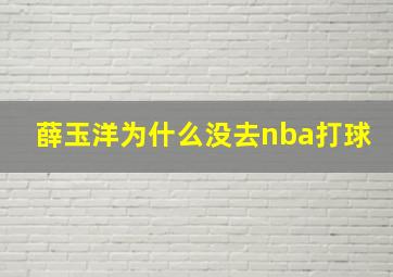 薛玉洋为什么没去nba打球