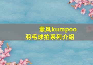 薰风kumpoo羽毛球拍系列介绍