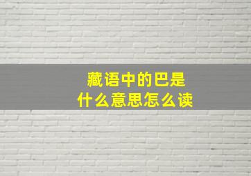 藏语中的巴是什么意思怎么读