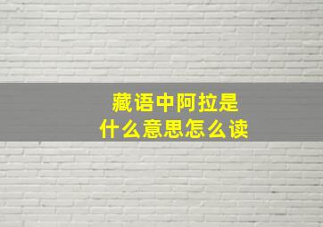 藏语中阿拉是什么意思怎么读