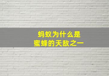 蚂蚁为什么是蜜蜂的天敌之一