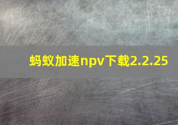 蚂蚁加速npv下载2.2.25