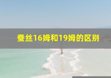 蚕丝16姆和19姆的区别