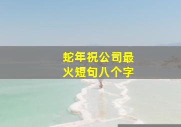 蛇年祝公司最火短句八个字