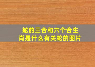 蛇的三合和六个合生肖是什么有关蛇的图片