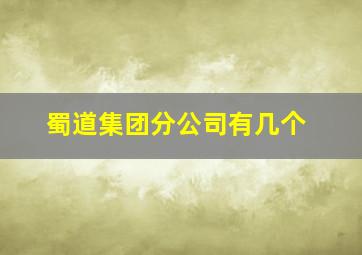 蜀道集团分公司有几个