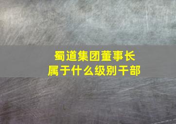 蜀道集团董事长属于什么级别干部