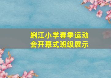 蜊江小学春季运动会开幕式班级展示