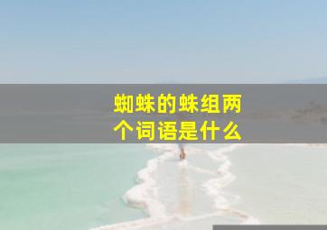 蜘蛛的蛛组两个词语是什么