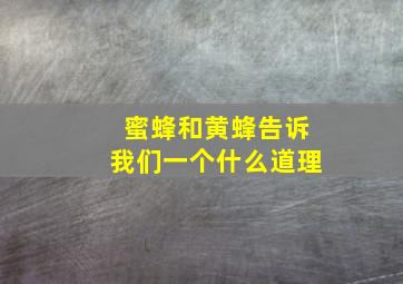 蜜蜂和黄蜂告诉我们一个什么道理