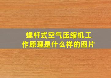 螺杆式空气压缩机工作原理是什么样的图片