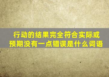 行动的结果完全符合实际或预期没有一点错误是什么词语