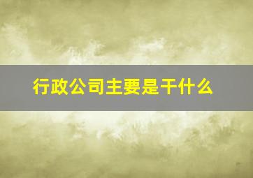 行政公司主要是干什么