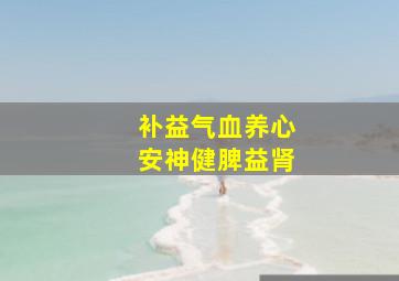 补益气血养心安神健脾益肾