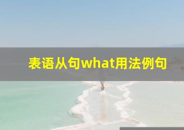 表语从句what用法例句