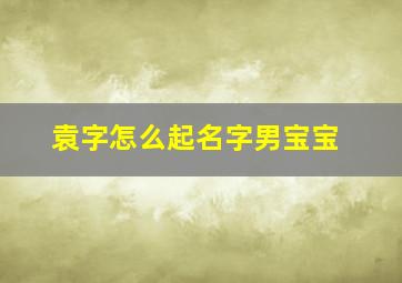 袁字怎么起名字男宝宝