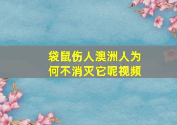 袋鼠伤人澳洲人为何不消灭它呢视频