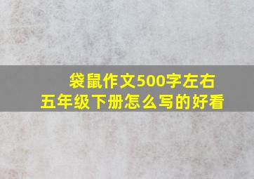 袋鼠作文500字左右五年级下册怎么写的好看