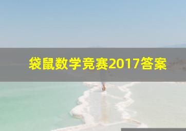 袋鼠数学竞赛2017答案