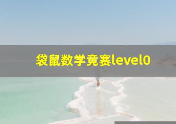 袋鼠数学竞赛level0