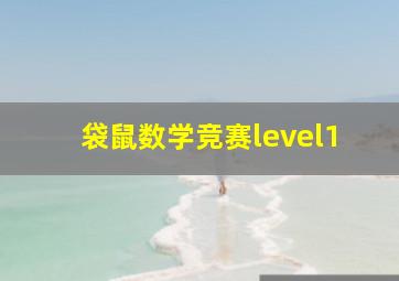 袋鼠数学竞赛level1