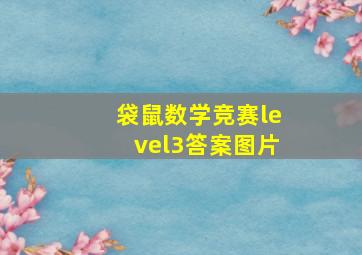 袋鼠数学竞赛level3答案图片