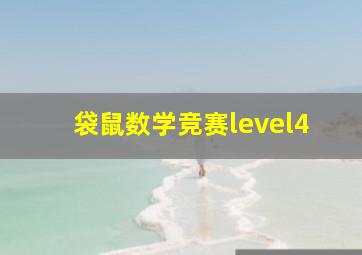 袋鼠数学竞赛level4