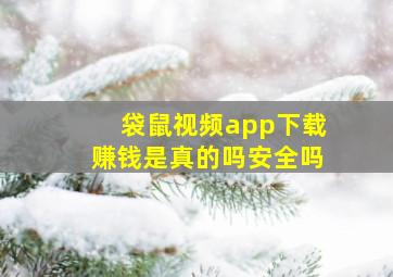 袋鼠视频app下载赚钱是真的吗安全吗