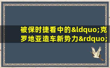 被保时捷看中的“克罗地亚造车新势力”究竟是一家什么