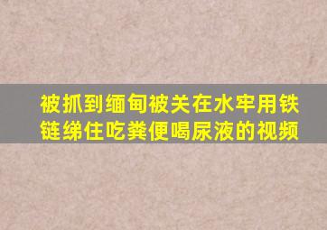 被抓到缅甸被关在水牢用铁链绨住吃粪便喝尿液的视频