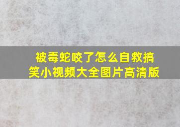 被毒蛇咬了怎么自救搞笑小视频大全图片高清版