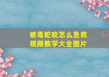 被毒蛇咬怎么急救视频教学大全图片