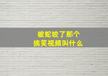 被蛇咬了那个搞笑视频叫什么