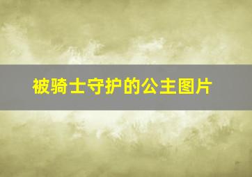 被骑士守护的公主图片