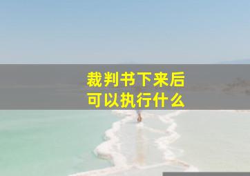 裁判书下来后可以执行什么