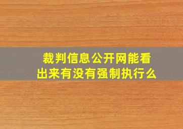 裁判信息公开网能看出来有没有强制执行么